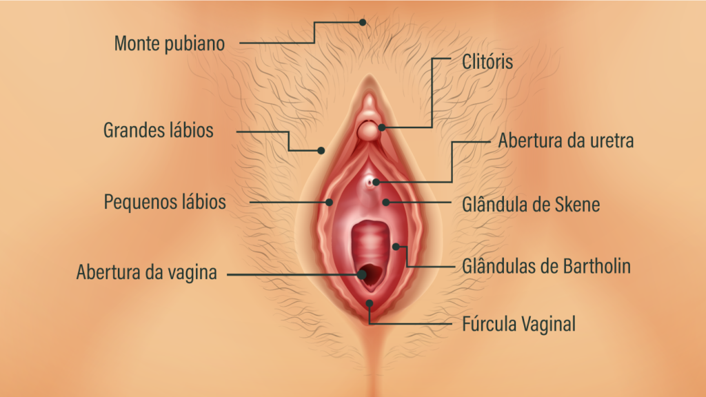Orifício frontal? Vagina é bem diferente de ânus 